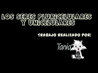 Trabajo realizado por:
 