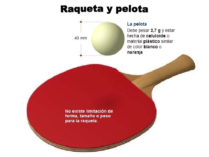 todo sobre el pingpong