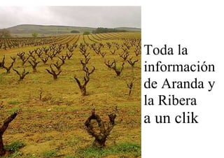 Toda la
información
de Aranda y
la Ribera
a un clik
