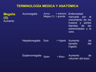 Megalia
(G)
Aumento
Acromegalia
Hepatomegalia
Esplenomegalia
Acros = extremo
Megas (1) = grande
Epat = hígado
Splen = Bazo
Enfermedad
marcada por el
crecimiento de los
huesos y partes
blandas de las
extremidades y la
cara.
Aumento de
tamaño del
hígado.
Aumento de
volumen del bazo.
TERMINOLOGÍA MEDICA Y ANATÓMICA
 