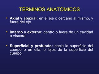 TÉRMINOS ANATÓMICOS
• Axial y abaxial: en el eje o cercano al mismo, y
fuera del eje
• Interno y externo: dentro o fuera de un cavidad
o víscera
• Superficial y profundo: hacia la superficie del
cuerpo o en ella, o lejos de la superficie del
cuerpo.
 