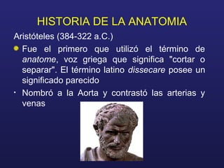 HISTORIA DE LA ANATOMIA
Aristóteles (384-322 a.C.)
Fue el primero que utilizó el término de
anatome, voz griega que signif...