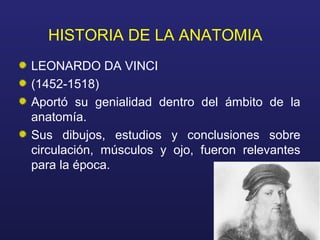 HISTORIA DE LA ANATOMIA
LEONARDO DA VINCI
(1452-1518)
Aportó su genialidad dentro del ámbito de la
anatomía.
Sus dibujos, ...