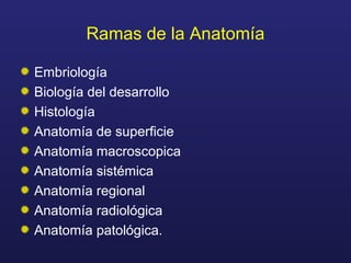 Ramas de la Anatomía
Embriología
Biología del desarrollo
Histología
Anatomía de superficie
Anatomía macroscopica
Anatomía ...