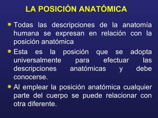 LA POSICIÓN ANATÓMICA
La posición anatómica es la que se adopta en
bipedestación erecta ( o en decúbito supino) con
la cab...