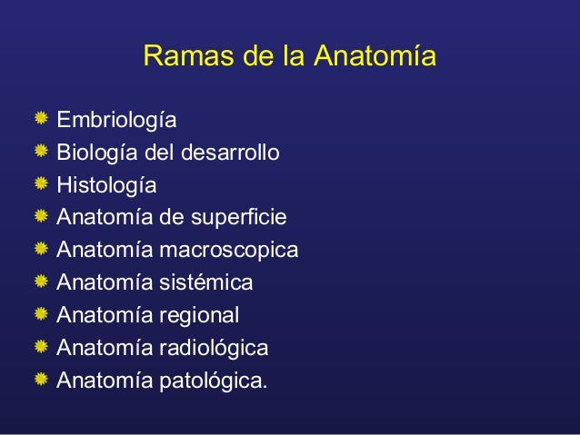 Todo de generalidades de anatomia