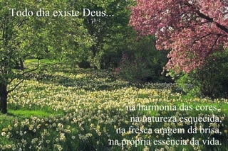 ... na harmonia das cores,  na natureza esquecida, na fresca aragem da brisa, na própria essência da vida. Todo dia existe Deus... 