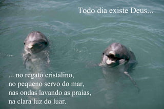 Todo dia existe Deus... ... no regato cristalino, no pequeno servo do mar, nas ondas lavando as praias, na clara luz do luar. 