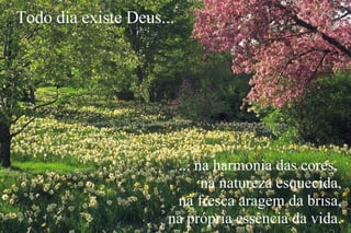 ... na harmonia das cores,  na natureza esquecida, na fresca aragem da brisa, na própria essência da vida. Todo dia existe Deus... 