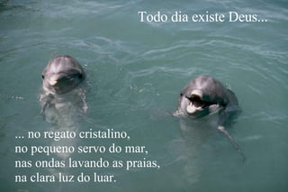 Todo dia existe Deus... ... no regato cristalino, no pequeno servo do mar, nas ondas lavando as praias, na clara luz do luar. 