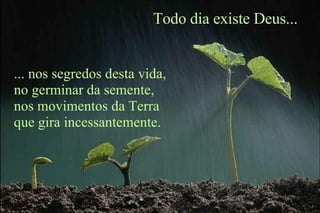 ... nos segredos desta vida, no germinar da semente, nos movimentos da Terra que gira incessantemente. Todo dia existe Deus... 