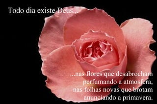 ...nas flores que desabrocham perfumando a atmosfera, nas folhas novas que brotam anunciando a primavera. Todo dia existe Deus... 
