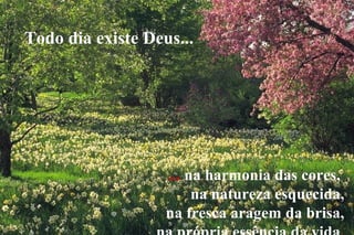 Todo dia existe Deus...




                   ... na harmonia das cores,
                        na natureza esquecida,
                   na fresca aragem da brisa,
 