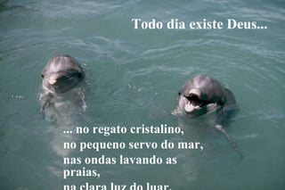 Todo dia existe Deus...




... no regato cristalino,
no pequeno servo do mar,
nas ondas lavando as
praias,
 