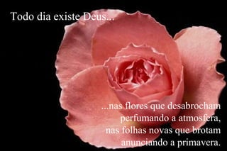 ...nas flores que desabrocham
perfumando a atmosfera,
nas folhas novas que brotam
anunciando a primavera.
Todo dia existe Deus...
 
