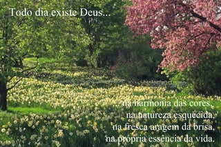 ... na harmonia das cores,
na natureza esquecida,
na fresca aragem da brisa,
na própria essência da vida.
Todo dia existe Deus...
 