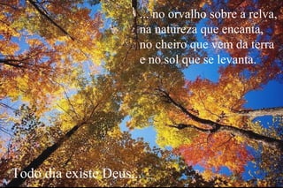 ... no orvalho sobre a relva,
na natureza que encanta,
no cheiro que vem da terra
e no sol que se levanta.
Todo dia existe Deus...
 