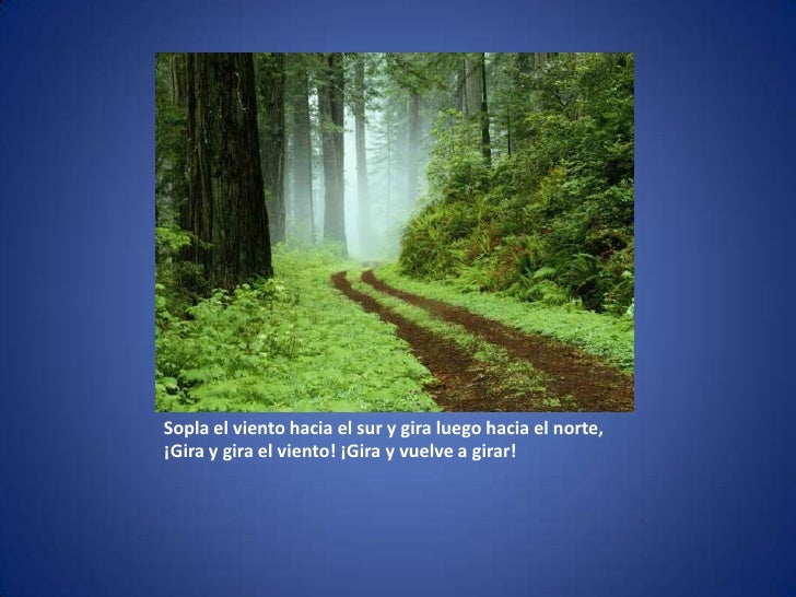 Todo Es Vana Ilusion todo es vana ilusion