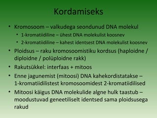 Kordamiseks
• Kromosoom – valkudega seondunud DNA molekul
   • 1-kromatiidiline – ühest DNA molekulist koosnev
   • 2-kromatiidiline – kahest identsest DNA molekulist koosnev
• Ploidsus – raku kromosoomistiku kordsus (haploidne /
  diploidne / polüploidne rakk)
• Rakutsükkel: interfaas + mitoos
• Enne jagunemist (mitoosi) DNA kahekordistatakse –
  1-kromatiidilistest kromosoomidest 2-kromatiidilised
• Mitoosi käigus DNA molekulide algne hulk taastub –
  moodustuvad geneetiliselt identsed sama ploidsusega
  rakud
 