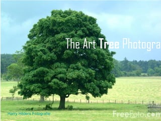 The Art Tree Photograp



Harry Hilders Fotografie
 