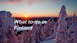 What to do in
Finland
 
