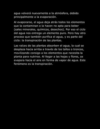 agua volverá nuevamente a la atmósfera, debido
principalmente a la evaporación.

Al evaporarse, el agua deja atrás todos los elementos
que la contaminan o la hacen no apta para beber
(sales minerales, químicos, desechos). Por eso el ciclo
del agua nos entrega un elemento puro. Pero hay otro
proceso que también purifica el agua, y es parte del
ciclo: la transpiración de las plantas.

Las raíces de las plantas absorben el agua, la cual se
desplaza hacia arriba a través de los tallos o troncos,
movilizando consigo a los elementos que necesita la
planta para nutrirse. Al llegar a las hojas y flores, se
evapora hacia el aire en forma de vapor de agua. Este
fenómeno es la transpiración.
 