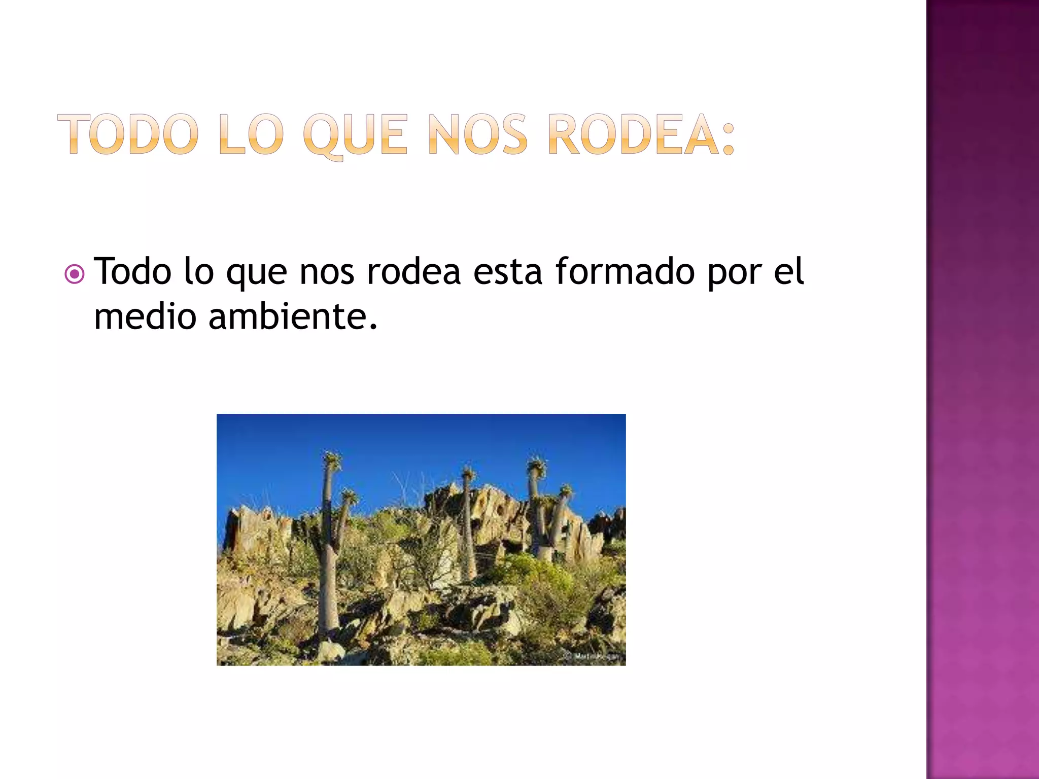 Todo lo que nos rodea | PPTX