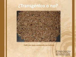 ¿Transgénico o no?




  Café con bajo contenido en cafeína

                                       Mª Yolanda Franco Pérez
                                       Lorena Hermosilla Plaza
                                       Alba Ester Illera Gigante
 