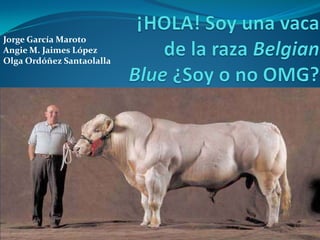 Jorge García Maroto
Angie M. Jaimes López
Olga Ordóñez Santaolalla
 