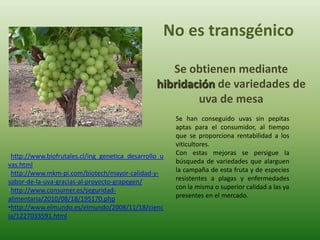 No es transgénico

                                                    Se obtienen mediante
                                                 hibridación de variedades de
                                                         uva de mesa
                                                       Se han conseguido uvas sin pepitas
                                                       aptas para el consumidor, al tiempo
                                                       que se proporciona rentabilidad a los
                                                       viticultores.
•http://www.biofrutales.cl/ing_genetica_desarrollo_u   Con estas mejoras se persigue la
vas.html                                               búsqueda de variedades que alarguen
•http://www.mkm-pi.com/biotech/mayor-calidad-y-        la campaña de esta fruta y de especies
sabor-de-la-uva-gracias-al-proyecto-grapegen/          resistentes a plagas y enfermedades
•http://www.consumer.es/seguridad-                     con la misma o superior calidad a las ya
alimentaria/2010/08/18/195170.php                      presentes en el mercado.
•http://www.elmundo.es/elmundo/2008/11/18/cienc
ia/1227033591.html
 