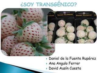    Daniel de la Fuente Rupérez
   Ana Angulo Ferrer
   David Ausín Cuesta
 