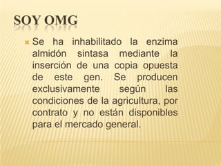 SOY OMG
    Se ha inhabilitado la enzima
     almidón sintasa mediante la
     inserción de una copia opuesta
     de este gen. Se producen
     exclusivamente     según       las
     condiciones de la agricultura, por
     contrato y no están disponibles
     para el mercado general.
 