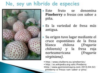 Este  fruto    se    denomina
    Pineberry o fresas con sabor a
    piña.





    Es la variedad de fresa más
    antig...