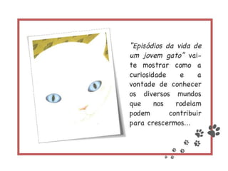 Episódios da vida de um gato