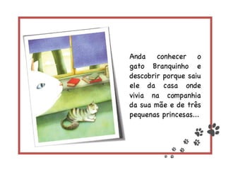 Episódios da vida de um gato