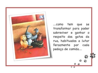 Episódios da vida de um gato