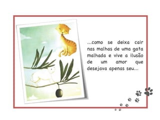 Episódios da vida de um gato