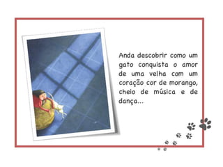 Episódios da vida de um gato