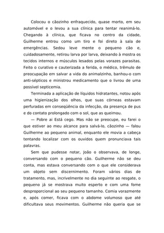Colocou o cãozinho enfraquecido, quase morto, em seu
automóvel e o levou a sua clínica para tentar reanimá-lo.
Chegando       à    clínica,   que    ficava   no    centro   da    cidade,
Guilherme entrou como um tiro e foi direto à sala de
emergências.        Sedou      leve    mente     o     pequeno     cão    e,
cuidadosamente, retirou larva por larva, deixando à mostra os
tecidos internos e músculos lesados pelas vorazes parasitas.
Feito o curativo e cauterizada a ferida, o médico, trêmulo de
preocupação em salvar a vida do animalzinho, banhou-o com
anti-sépticos e ministrou medicamento que o livrou de uma
possível septicemia.
     Terminada a aplicação de líquidos hidratantes, notou após
uma higienização dos olhos, que suas córneas estavam
perfuradas em conseqüência da infecção, da presença de pus
e do contato prolongado com o sol, que as queimou.
     — Pobre ai Está cego. Mas não se preocupe, eu farei o
que estiver ao meu alcance para salvá-lo, cãozinho — falou
Guilherme ao pequeno animal, enquanto ele movia a cabeça
tentando localizar com os ouvidos quem pronunciava tais
palavras.
     Sem que pudesse notar, João o observava, de longe,
conversando com o pequeno cão. Guilherme não se deu
conta, mas estava conversando com o que ele considerava
um    objeto       sem   discernimento.        Foram    vários     dias   de
tratamento, mas, incrivelmente no dia seguinte ao resgate, o
pequeno já se mostrava muito esperto e com uma fome
desproporcional ao seu pequeno tamanho. Comia vorazmente
e, após comer, ficava com o abdome volumoso que até
dificultava seus movimentos. Guilherme não queria que se
 