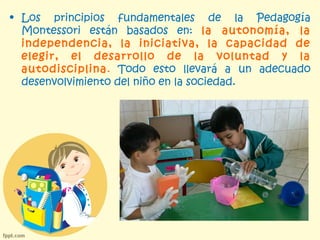 • Los principios fundamentales de la Pedagogía
  Montessori están basados en: la autonomía, la
  independencia, la iniciativa, la capacidad de
  elegir, el desarrollo de la voluntad y la
  autodisciplina. Todo esto llevará a un adecuado
  desenvolvimiento del niño en la sociedad.
 