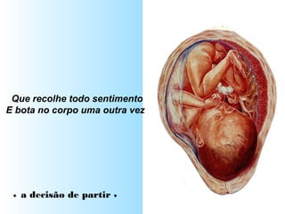 Que recolhe todo sentimento
E bota no corpo uma outra vez
• a decisão de partir •
 