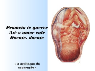 Prometo te querer
Até o amor cair
Doente, doente
• a aceitação da
separação •
 