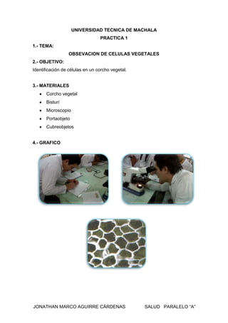JONATHAN MARCO AGUIRRE CÁRDENAS SALUD PARALELO “A”
UNIVERSIDAD TECNICA DE MACHALA
PRACTICA 1
1.- TEMA:
OBSEVACION DE CELULAS VEGETALES
2.- OBJETIVO:
Identificación de células en un corcho vegetal.
3.- MATERIALES
Corcho vegetal
Bisturí
Microscopio
Portaobjeto
Cubreobjetos
4.- GRAFICO
 