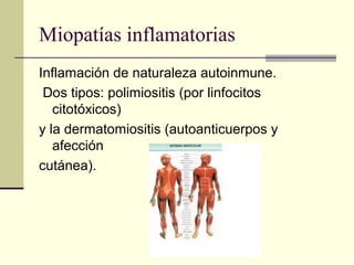 Miopatías inflamatorias
Inflamación de naturaleza autoinmune.
Dos tipos: polimiositis (por linfocitos
citotóxicos)
y la dermatomiositis (autoanticuerpos y
afección
cutánea).
 