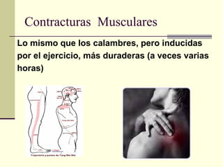 Contracturas Musculares
Lo mismo que los calambres, pero inducidas
por el ejercicio, más duraderas (a veces varias
horas)
 