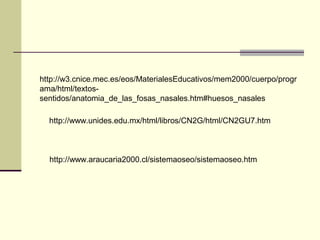 http://www.unides.edu.mx/html/libros/CN2G/html/CN2GU7.htm
http://w3.cnice.mec.es/eos/MaterialesEducativos/mem2000/cuerpo/progr
ama/html/textos-
sentidos/anatomia_de_las_fosas_nasales.htm#huesos_nasales
http://www.araucaria2000.cl/sistemaoseo/sistemaoseo.htm
 