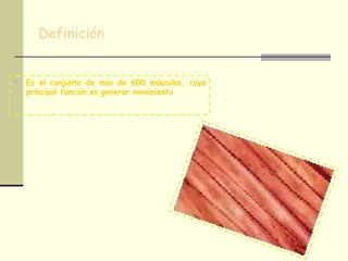 Definición
 Es el conjunto de mas de 600 músculos, cuya
principal función es generar movimiento
 