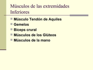 Músculos de las extremidades
Inferiores
 Músculo Tendón de Aquiles
 Gemelos
 Bíceps crural
 Músculos de los Glúteos
 Músculos de la mano
 