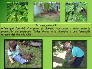Interrogantes ¿?
•¿Con qué función? Conservar el planeta, incorporar a todos para la
promoción del programa Todos Manos a la Siembra y una formación
integral del niño y la niña.
 