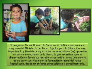 El programa Todos Manos a la Siembra se define como un nuevo
programa del Ministerio del Poder Popular para la Educación, cuya
importancia y finalidad es que todos los venezolanos (as) aprendan
     a convivir y a obtener de la tierra lo que necesitan para la
 alimentación en forma sustentable y sostenible, como una manera
      de cuidar y contribuir con la formación integral del nuevo
  Republicano, desde un enfoque agroecológico y agroalimentario.
 
